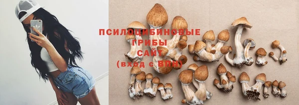 а пвп мука Аркадак