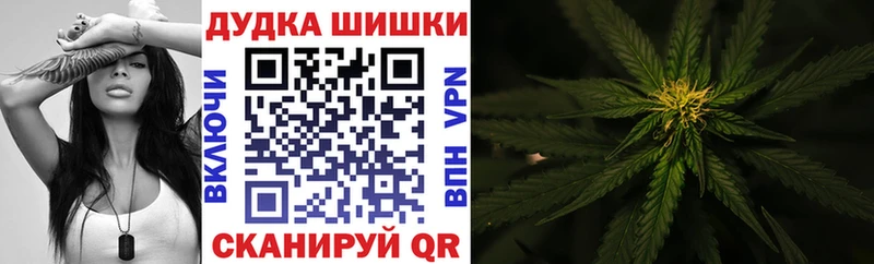 Бошки марихуана OG Kush Мураши